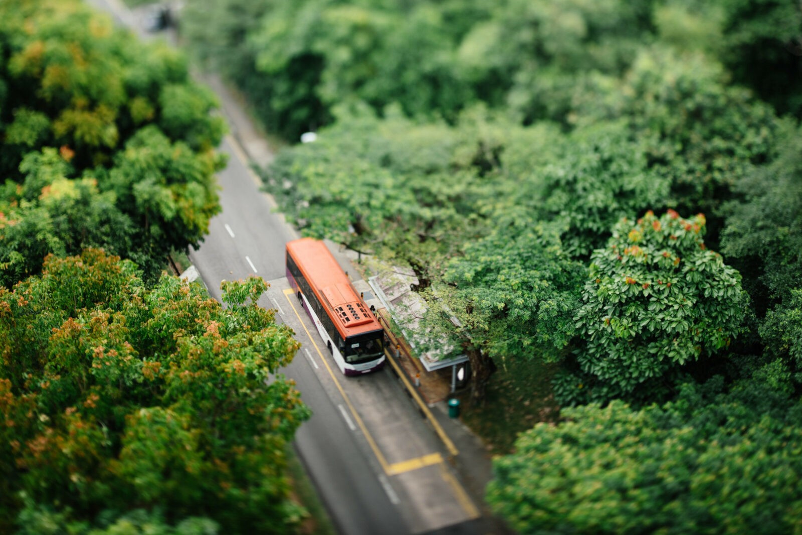 avtobus-miniatura-scaled